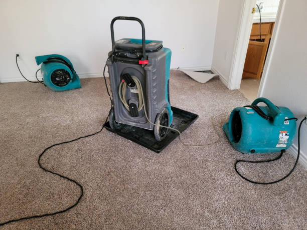 Best Residential water damage restoration  in Wamac, IN