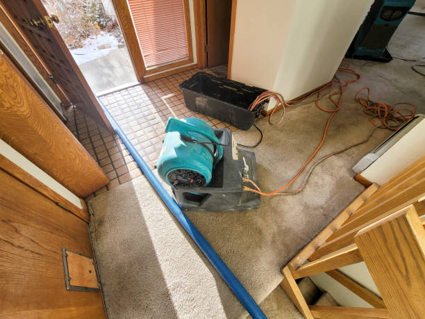 Best Basement water damage restoration  in Wamac, IN