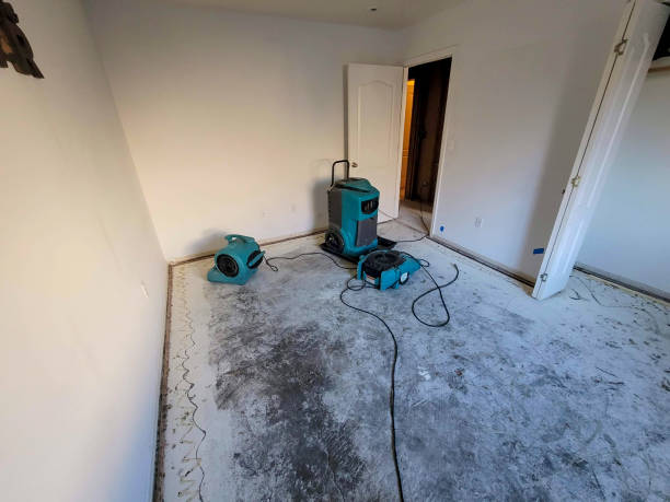 Best 24-hour water damage restoration  in Wamac, IN