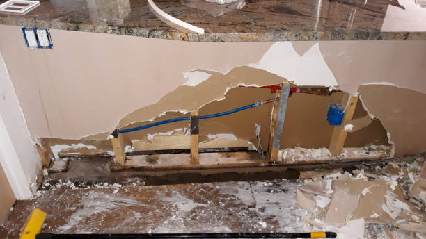 Best Carpet water damage restoration  in Wamac, IN