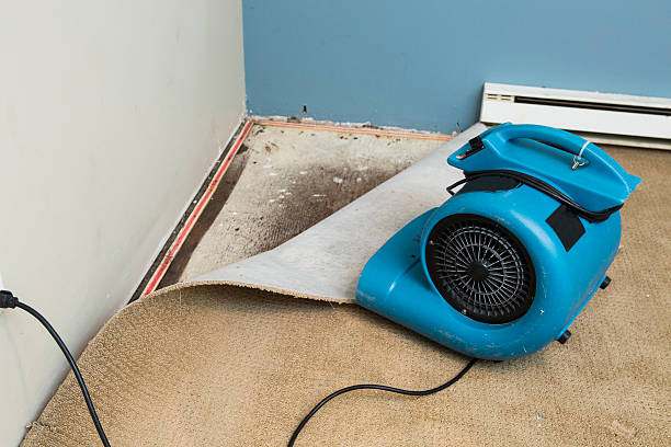  Wamac, IN Water damage restoration Pros